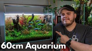 60cm Insel-Style Aquarium Vorstellung!