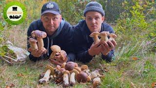 Steinpilz WAHNSINN | Pilze sammeln im Herbst