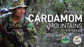 Protect the Cardamom Mountains Natural Heritage