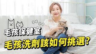 【毛孩保健室】毛孩洗劑怎麼選?選錯小心皮膚病纏身｜小姐愛美力