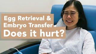 IVF Egg Retrieval & Embryo Transfer - Does it hurt? What to expect & real footage of my experiences