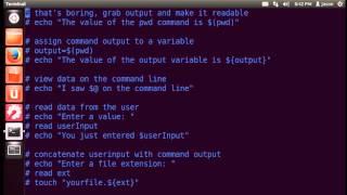 Bash Scripting Basics Part 1