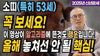 [2025년 을사년 운세] 소띠(53세) 핵심 운세를 공개합니다! 반드시 확인하세요 [운곡스님의 점찰이야기]