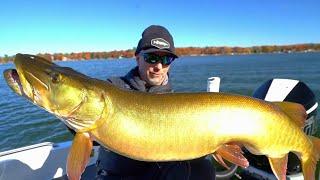 Fall Musky Feed Bag Is On NOW!!!