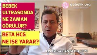 KAN GEBELİK TESTİ (BETA HCG) NE ZAMAN POZİTİF OLUR, NE İŞE YARAR? BEBEK ULTRASONDA NE ZAMAN GÖRÜLÜR?