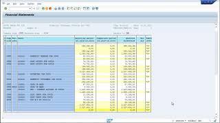 Financial Statement Version 05| SAP FICO