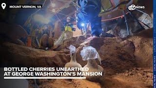 18th-century bottles of preserved fruit unearthed at George Washington's mansion