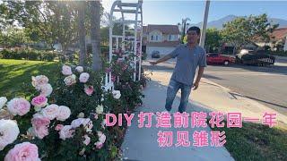 光哥DIY一年打造前院玫瑰花园初见雏形，赶快订阅让我们一起DIY创造美丽私家花园吧！