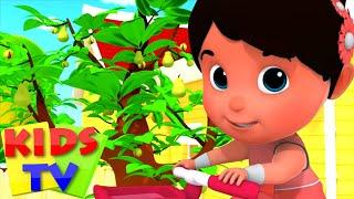 Nhỏ bé cây quả hạch | Video giáo dục | Kids Tv Vietnam | Nhac thieu nhi hay nhất | Hoạt hình
