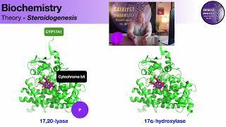 Steroidogensis [Part 1] | Cortisol & Aldosterone Biosynthesis