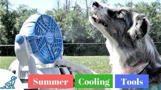 How To Keep Your Dog Cool In The Heat- Summer Cooling Gadgets - Professional Dog Training Tips