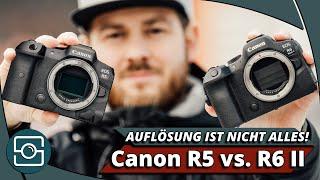 AUFLÖSUNG IST NICHT ALLES! Wieso die Canon R6 II besser als die R5 ist!