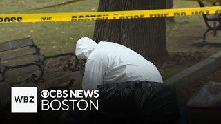 Violence on Boston Common is rising, say residents