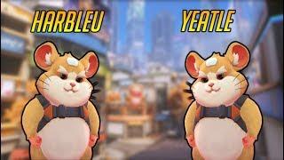 harbleu and yeatle trade hammond between rounds - Overwatch