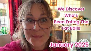 We Discover Who’s Been Eating The Fat Balls - Uk Reseller Gentle Vlog January 2025