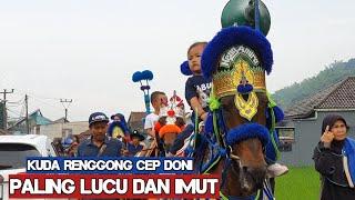 Cef Doni's renggong horse around Sumedang - Horse dance video