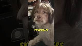 Skinwalkers might just be real