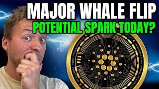 CARDANO ADA - MAJOR WHALE FLIP!!! WILL THIS CREATE A SPARK?
