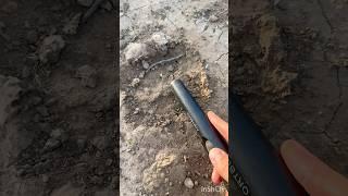 Нашел гильзу прямо на поверхности#shorts#shortvideo#металлоискатель#coin#монеты#находки
