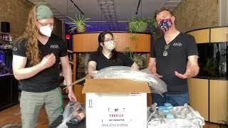 Sustainable Aquatics Unboxing: Fancy Clownfish and a Water Colors First!