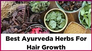 Best Ayurvedic Herbs For Hair Growth! Get Stronger, Healthy Long Hair!