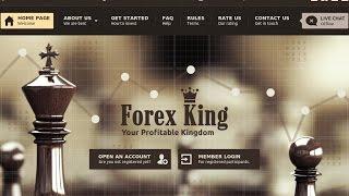 Хайп который платит FOREX KING заработок в интернете УДАЧИ!!!