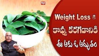 Uses of Karivepaku | Health Benefits of Curry Leaves | Karivepaku | RedTv Health