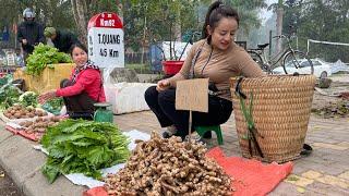 Harvest vegetables and ginger root to go to the market to sell. grow flowers on the farm