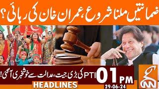 PTI Big Victory | Bail Accepted | Imran Khan | News Headlines | 01 PM  | 29 June 2024 | GNN