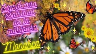  Significado espiritual de la MARIPOSA MONARCA