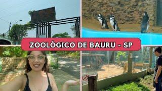 FOMOS NO ZOOLÓGICO DE BAURU SP  - UM DOS MELHORES DO BRASIL 🩷Lar da Vanessa