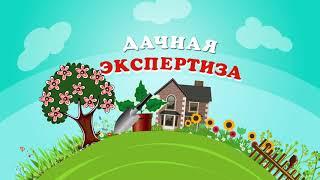 Как выбрать питательные вещества? Дачная экспертиза.