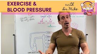 Exercise & Blood Pressure