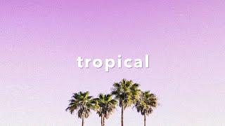 Tropical Chill No Copyright Free Instrumental Background Music For Videos