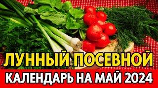 Когда сеять, сажать в мае? Лунный посевной календарь на май 2024, календарь огородника