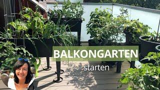 Einen Balkongarten mit Gemüse starten - 8 Tipps für Anfänger