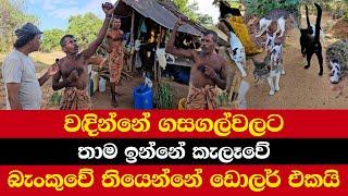 වඳින්නේ ගසගල්වලට | තාම ඉන්නේ කැලෑවේ | බැංකුවේ තියෙන්නේ ඩොලර් එකයි