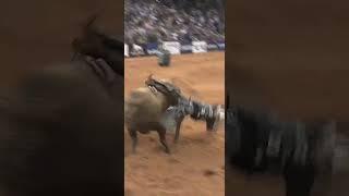 One of the greatest rides in history!! J.B. Mauney vs Bushwacker!!
