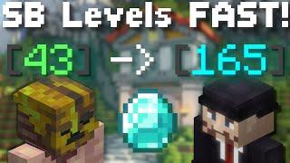 How To Gain Skyblock Levels FAST! Full Guide! (Hypixel Skyblock)