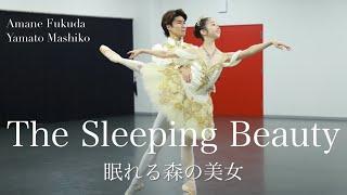 【本気バレエ #27】眠れる森の美女よりオーロラ姫のアダジオとコーダ | The SLEEPING BEAUTY Pas de deux 【BALLET】