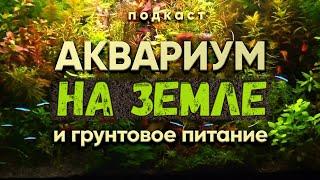 Аквариум на земле и грунтовое питание. Подкаст с А. Ершовым