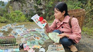 Suddenly found a large amount of money on the way home lý thị hương