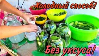 ХОЛОДНЫЙ СПОСОБ! Без уксуса и кипячения! Как КВАШЕННЫЕ БОЧКОВЫЕ самые хрустящие огурцы на зиму!