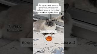 А почему бы и нет Гулять так гулять