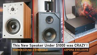 NEW Audiophile Speakers and Amplifier UNDER $1000 Stole The Show! @AXPONA