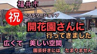 【福井市　開花園さん】飛行機乗り継ぎ、秋田市から訪問　お買い物　沢山の植物と素敵な花壇