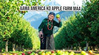 आमासँग न्यूयोर्कमा एप्पल टिप्दै | परिवारको रमाइलो पल |Apple Picking #bimakumaridura