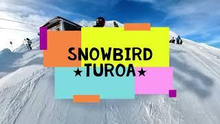 Snowbird @Turoa Snowboarding downhill (rear camera)