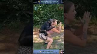 20 AMAZING Animal Clips You MUST See!  WILD ZOOM #animals #animalshorts  #animalclips  #wildlife