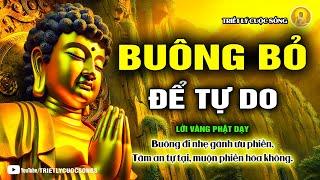 Lời Phật Dạy: Buông bỏ để tự do! Bí quyết sống an nhiên giữa vô thường